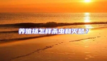 養殖場怎樣殺蟲和滅鼠?