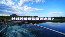 針對(duì)養(yǎng)殖場(chǎng)如何滅老鼠?