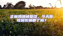 正新雞排被整改，今天你吃到死蟑螂了嗎？