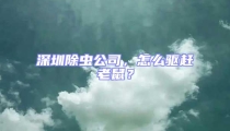 深圳除蟲公司,怎么驅(qū)趕老鼠?