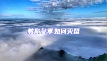 教你冬季如何滅鼠