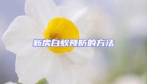 新房白蟻預防的方法