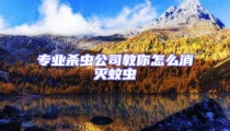 專業殺蟲公司教你怎么消滅蚊蟲