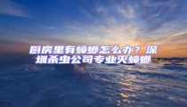 廚房里有蟑螂怎么辦?深圳殺蟲公司專業(yè)滅蟑螂