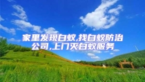 家里發現白蟻,找白蟻防治公司,上門滅白蟻服務