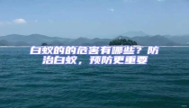 白蟻的的危害有哪些?防治白蟻,預(yù)防更重要