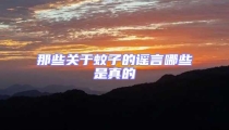 那些關(guān)于蚊子的謠言哪些是真的