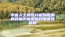 專業人士幫您分析到底那種藥物滅蟑是最好用最劃算的
