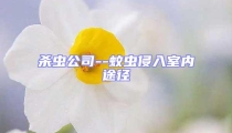殺蟲(chóng)公司--蚊蟲(chóng)侵入室內(nèi)途徑