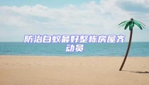 防治白蟻最好整棟房屋齊動員
