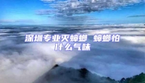 深圳專業滅蟑螂 蟑螂怕什么氣味