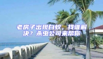 老房子出現白蟻,找誰解決?殺蟲公司來幫你