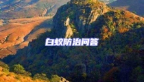 白蟻防治問答