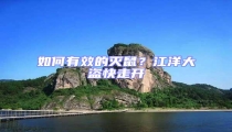 如何有效的滅鼠?江洋大盜快走開