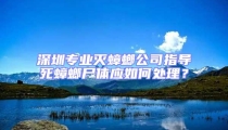 深圳專業滅蟑螂公司指導死蟑螂尸體應如何處理?