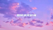 如何消滅蚊蠅