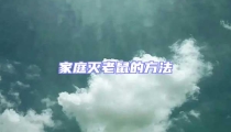 家庭滅老鼠的方法