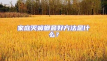 家庭滅蟑螂最好方法是什么?