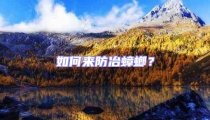 如何來防冶蟑螂?