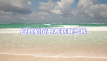 白蟻蟻后的壽命有多長