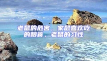 老鼠的危害,家鼠喜歡吃的糧食,老鼠的習(xí)性