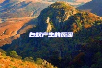 白蟻產生的原因