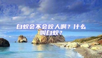 白蟻會不會咬人啊?什么叫白蟻?