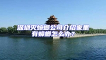 深圳滅蟑螂公司介紹家里有蟑螂怎么辦?