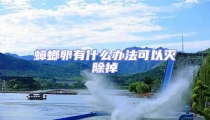 蟑螂卵有什么辦法可以滅除掉