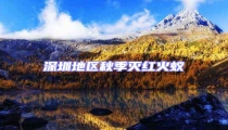 深圳地區(qū)秋季滅紅火蟻