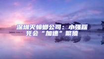 深圳滅蟑螂公司:小強踩死會“加速”繁殖