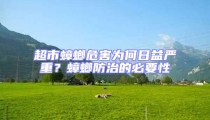 超市蟑螂危害為何日益嚴重?蟑螂防治的必要性
