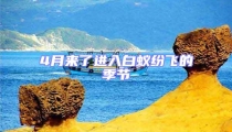 4月來了進入白蟻紛飛的季節