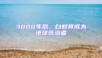 3000年后，白蟻將成為地球統治者