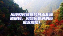 從沒見過蟑螂的日本北海道居民,見到蟑螂時的反應太震撼!