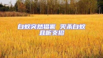 白蟻突然猖獗 滅殺白蟻且聽支招