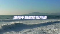 園林中白蟻防治方法