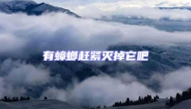 有蟑螂趕緊滅掉它吧
