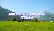 蟑螂為什么難滅絕?如何滅絕蟑螂