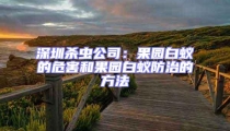 深圳殺蟲公司:果園白蟻的危害和果園白蟻防治的方法