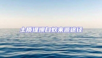 土質(zhì)堤壩白蟻來源途徑