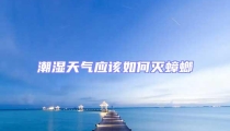 潮濕天氣應該如何滅蟑螂