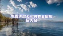 深圳滅鼠公司教你6招招招滅鼠