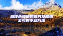 網傳殺蟑螂的偏方及除蟲公司的專業方法
