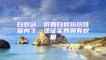 白蟻站:假如白蟻紛紛往屋內(nèi)飛,這證實四周有蟻巢