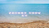 老鼠咬斷電線 引發民宅起火
