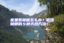 家里有蟑螂怎么辦？驅逐蟑螂的５種天然方法！