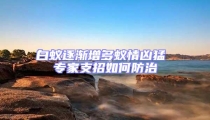 白蟻逐漸增多蟻情兇猛 專家支招如何防治