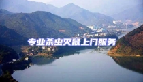 專業殺蟲滅鼠上門服務