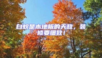 白蟻是木地板的天敵,裝修要細(xì)致!